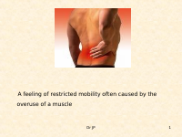 Centrally Acting Muscles Relaxants.ppt